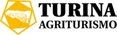 logo_turina